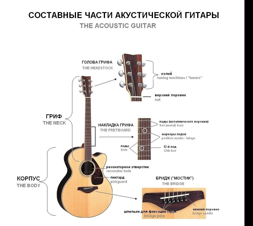 THE ACOUSTIC GUITAR